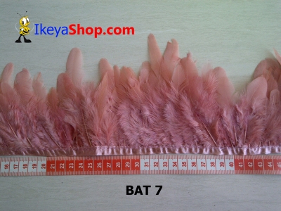 BAT 7  large2